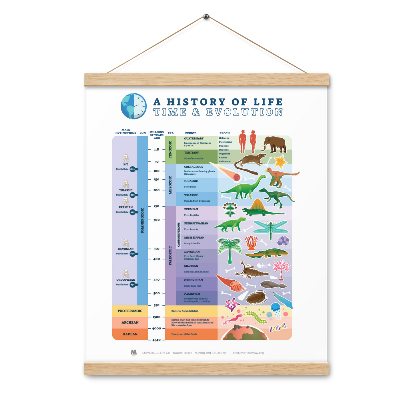 Evolution: History of Life Poster