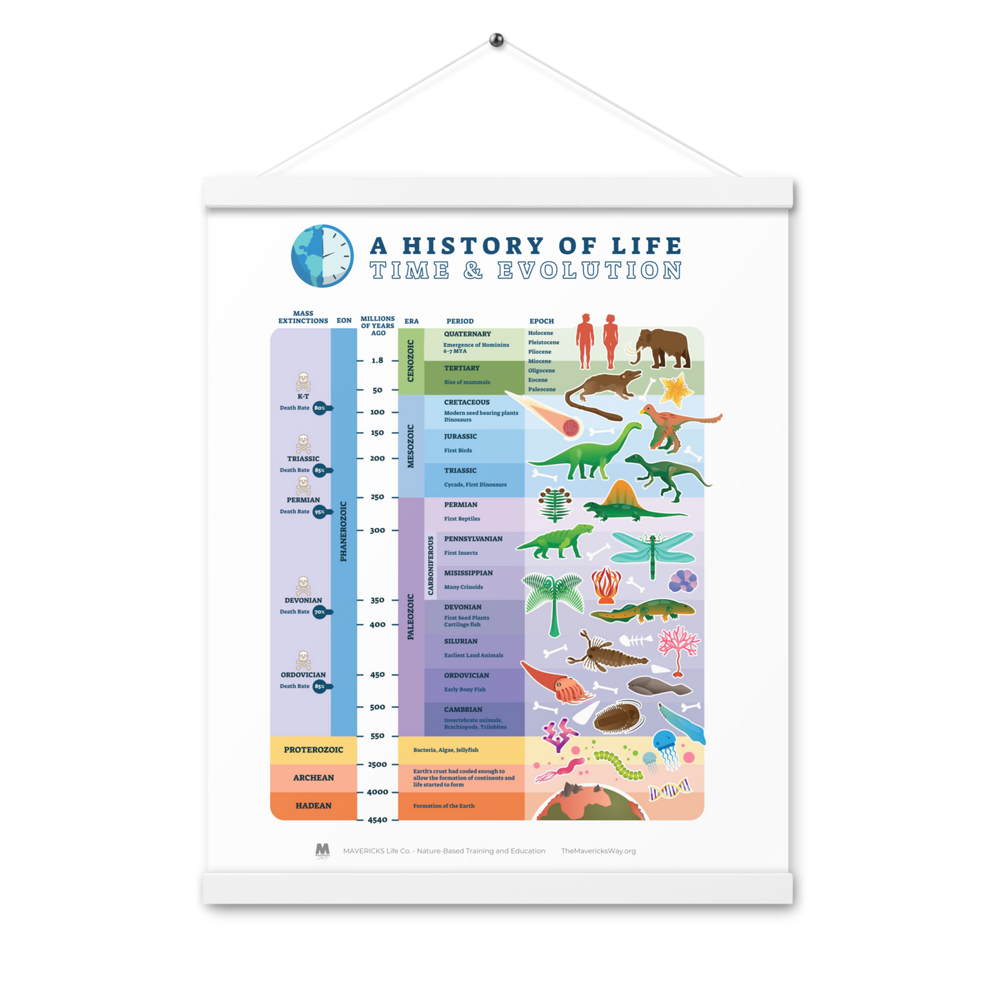 Evolution: History of Life Poster