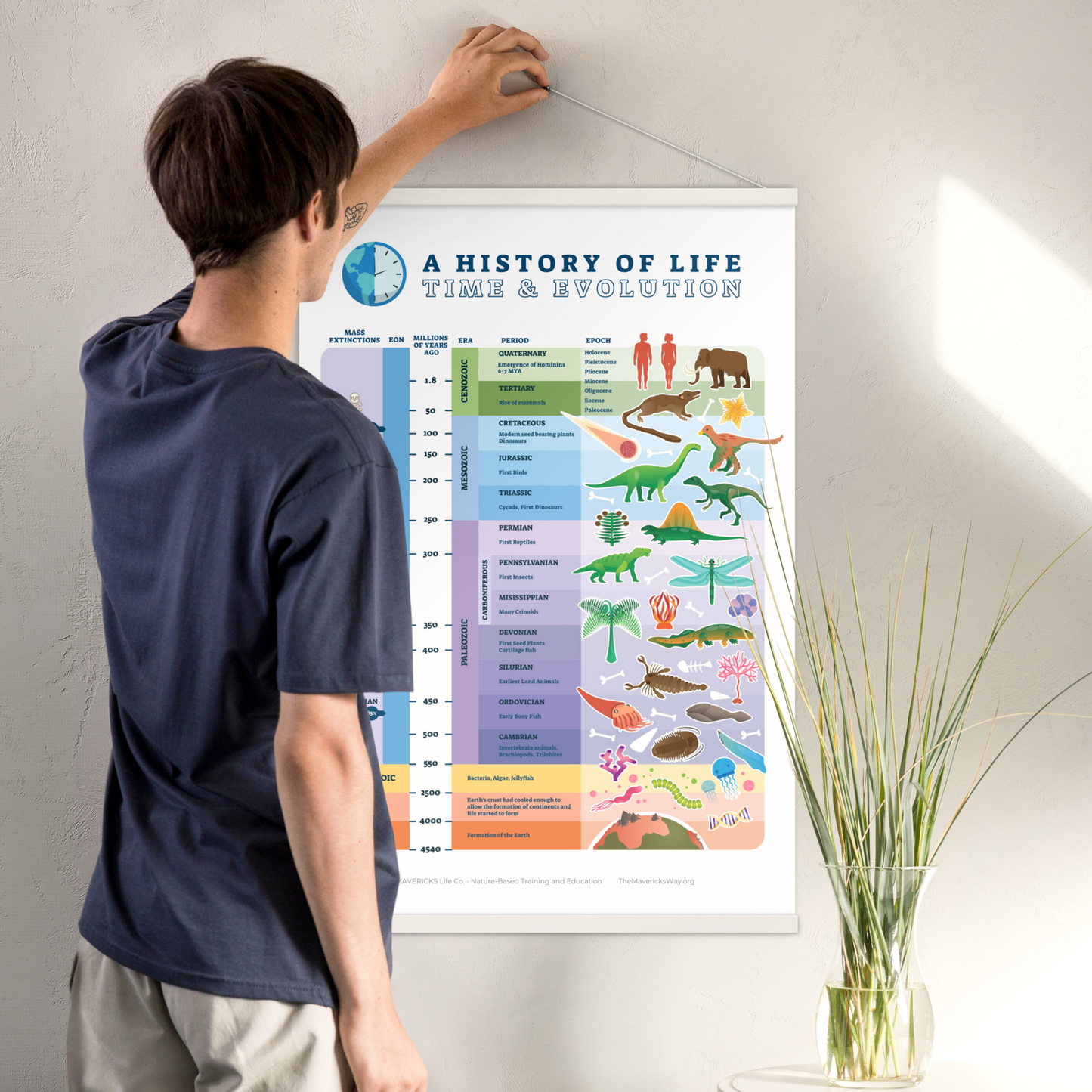 Evolution: History of Life Poster