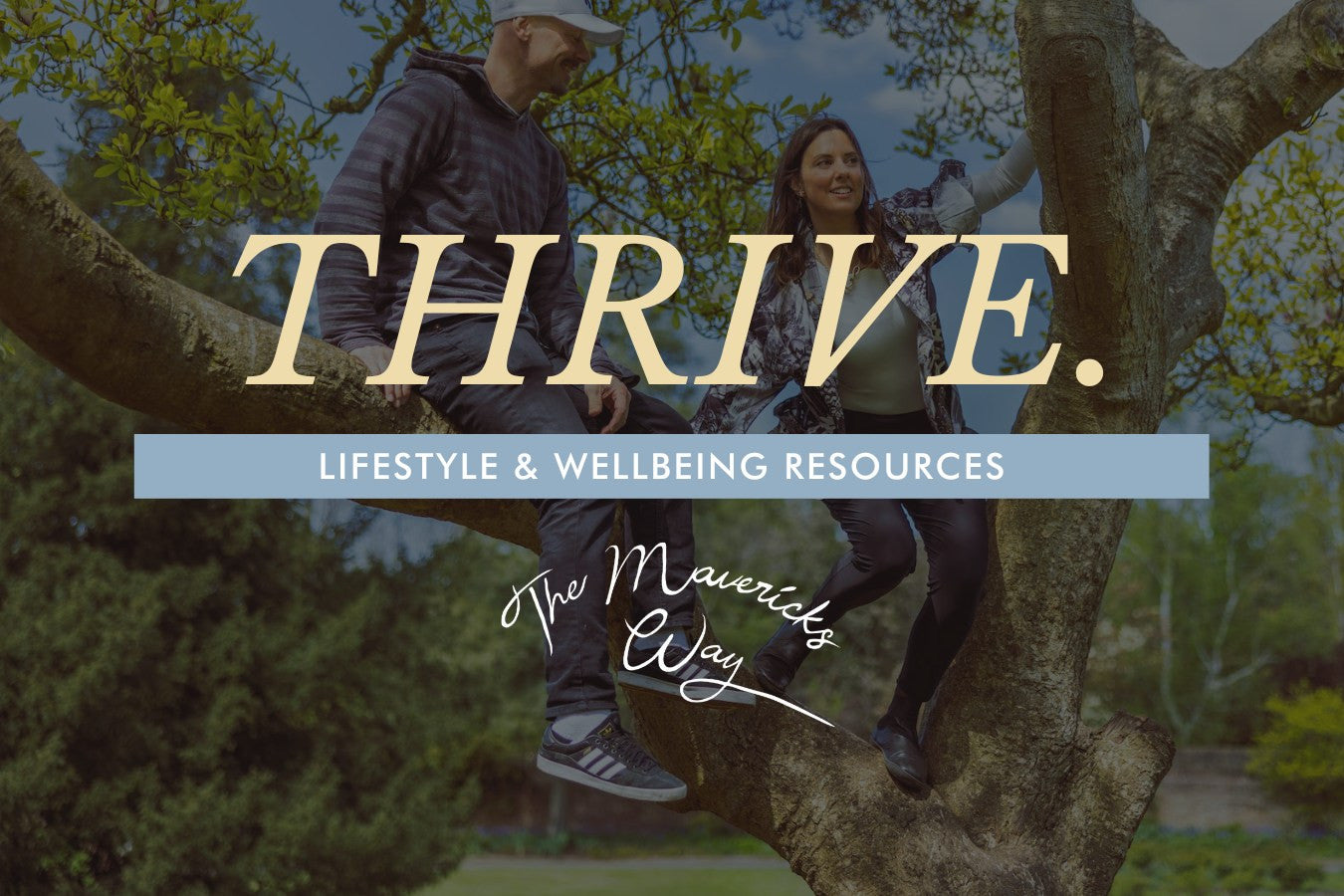 Load video: Holistic Training, Lifestyle &amp; Wellbeing