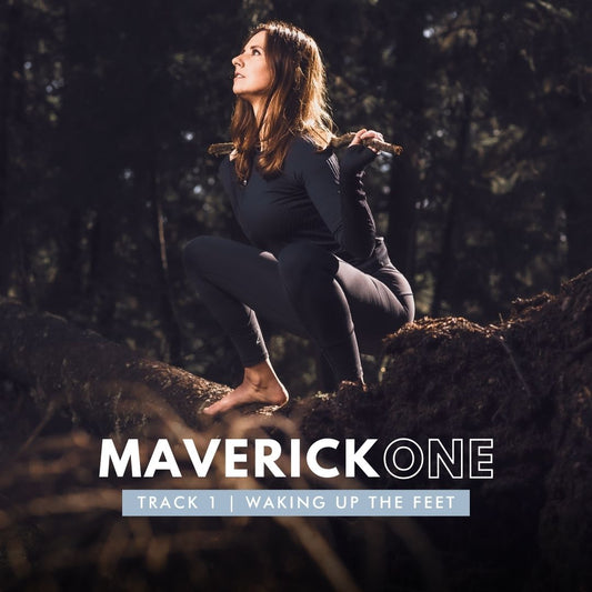 MAVERICK-ONE : Online Workshop