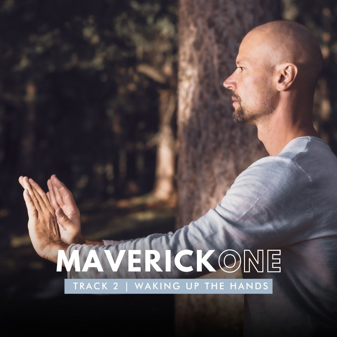 Natural Movement Essentials | MAVERICK-ONE Workshop