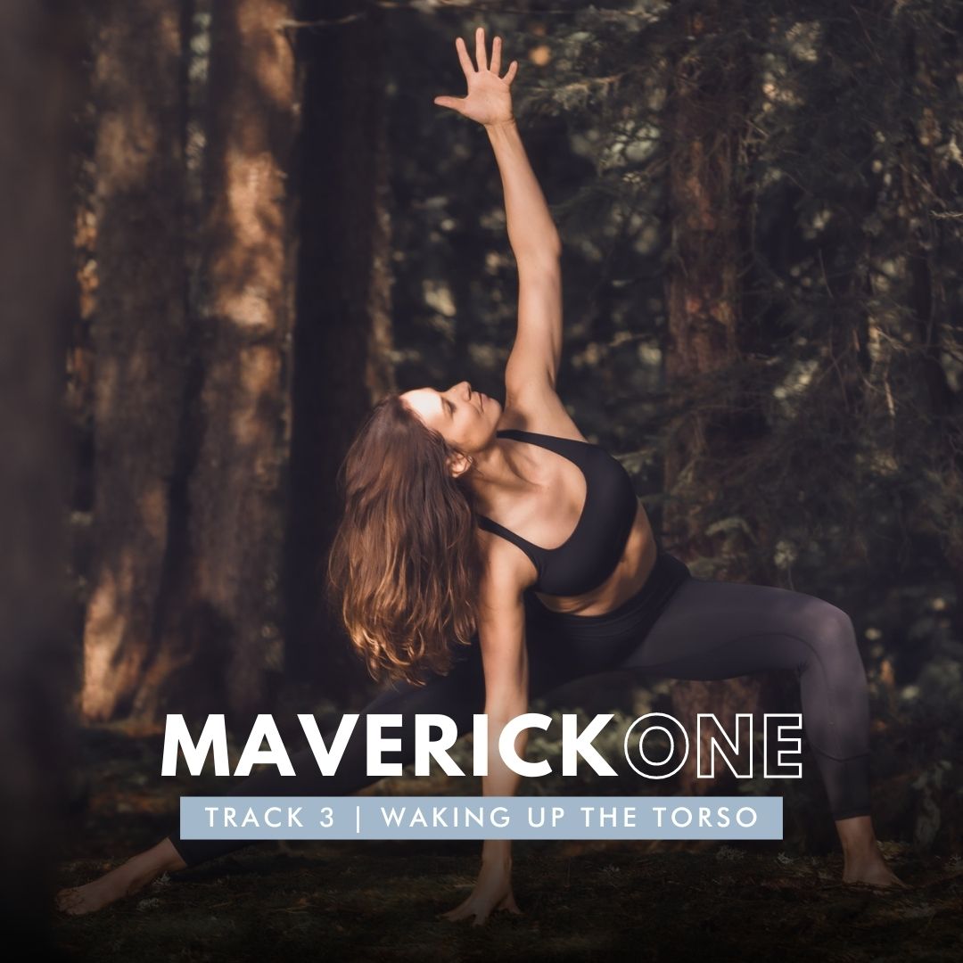 Natural Movement Essentials | MAVERICK-ONE Workshop