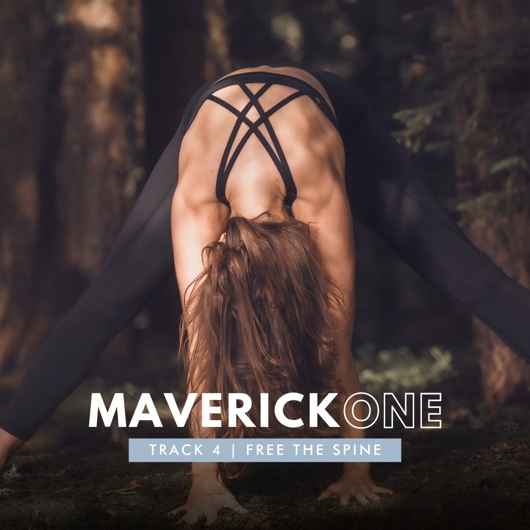 Natural Movement Essentials | MAVERICK-ONE Workshop