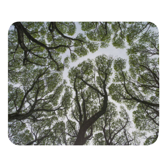 TREES Mouse pad